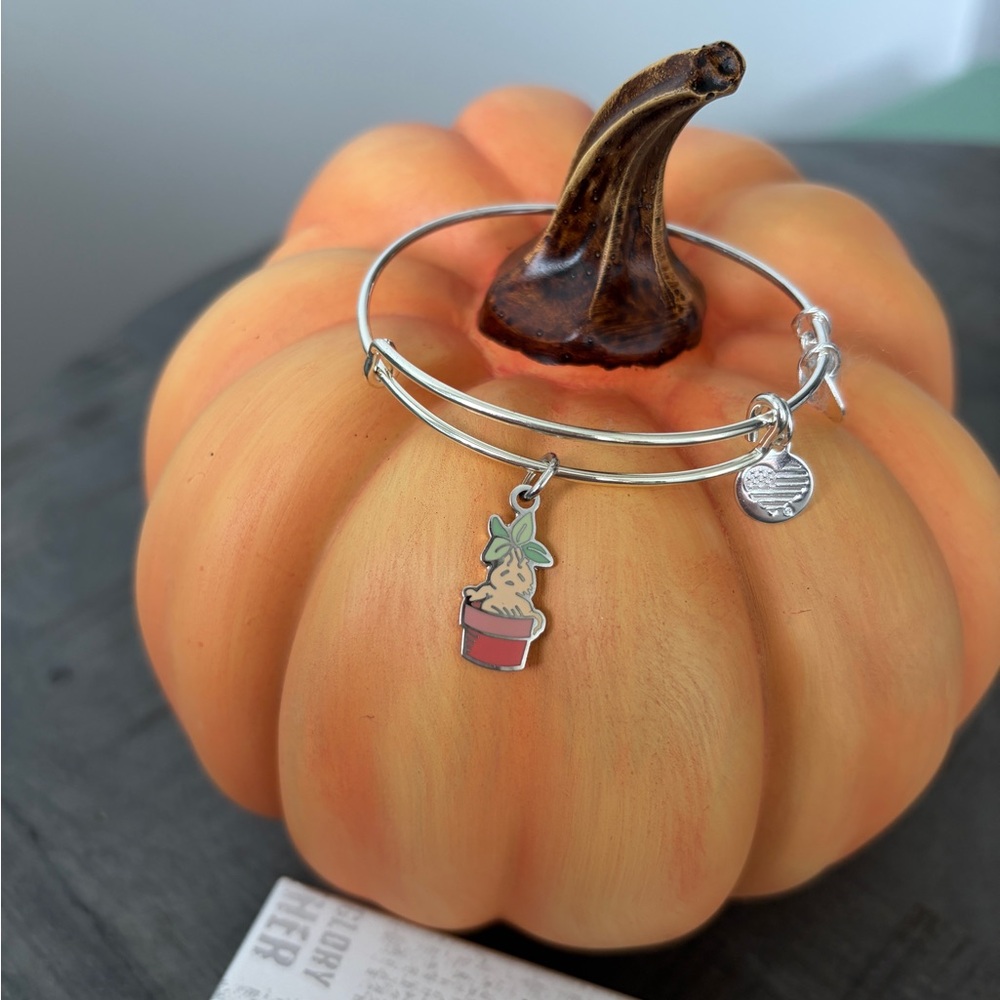 Alex and Ani Harry Potter Mandrake Silver‎ Charm Bracelet